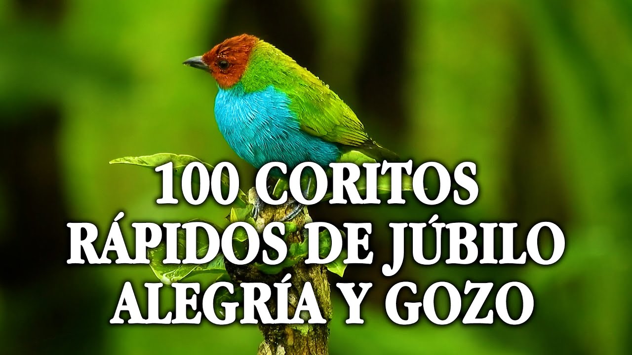 COROS VIEJITOS PERO BONITOS - COROS PENTECOSTALES - MAS DE 100 COROS AVIVAMIENTO PENTECOSTAL