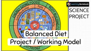 Balanced Diet Project । Balanced Diet Working Model । Science Project