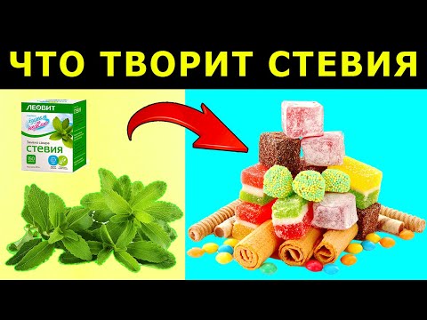 Стевия - польза и вред, сахарозаменитель, подсластитель. Полезные свойства стевии.