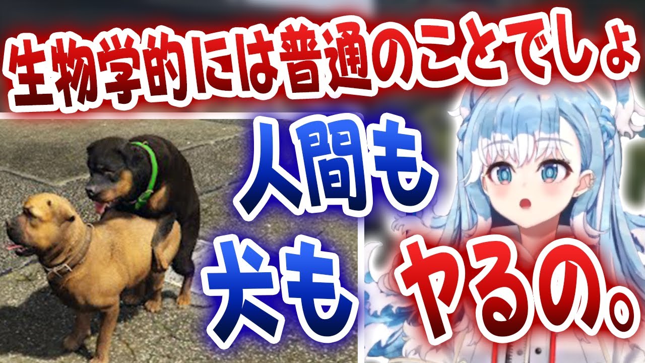 真の清楚こぼちゃんは交尾シーンにも動じず「人間も犬もヤるでしょ」【ホロライブ/こぼ・かなえる】