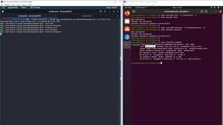 Celebrity Performs brute-force password guessing against an ssh server Net Worth