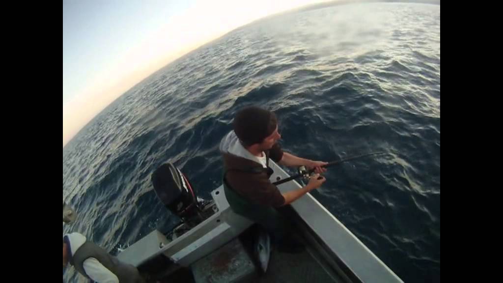 Kingfish jigging 5am kapiti island