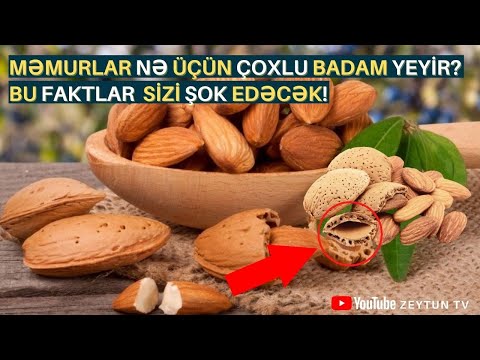 Video: Badam Ağaclarının Ümumi Xəstəlikləri - Badam Xəstəliyi Problemlərinin Qarşısını Necə Almaq olar