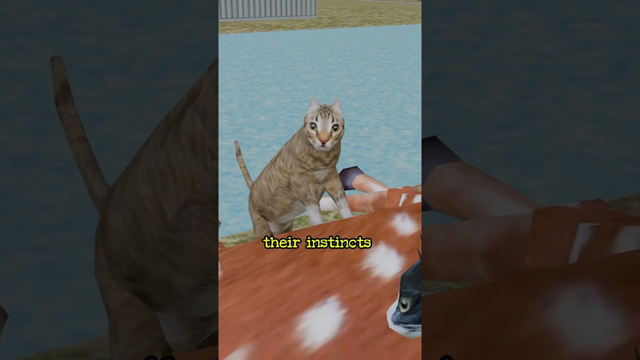 Why Cats Refuse to Drink Near Food