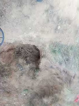 Нокта Макро Симплекс 25см. 5ст от 1881г.грунд 78 - YouTube