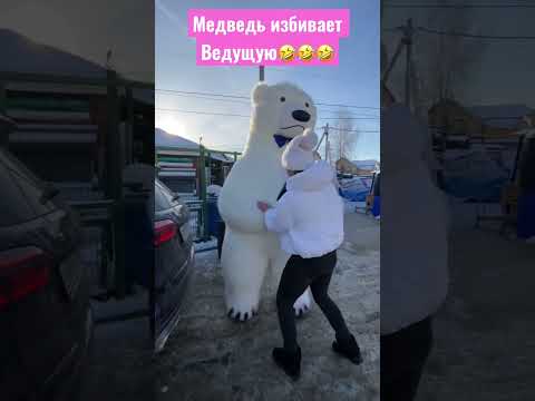 Медведь избивает ведущую🤣#shorts