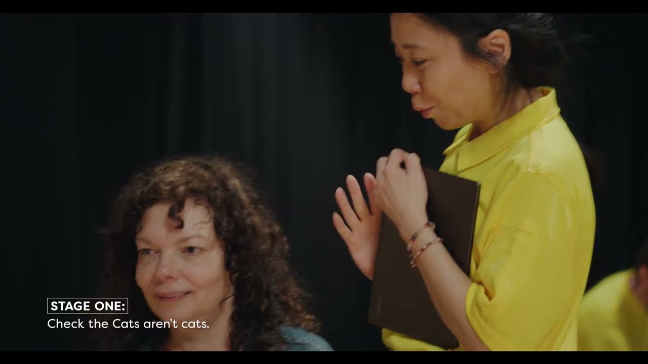 DREAMIES™ Humans Called Cat