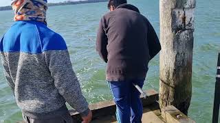   Fishing In Katikati Nz