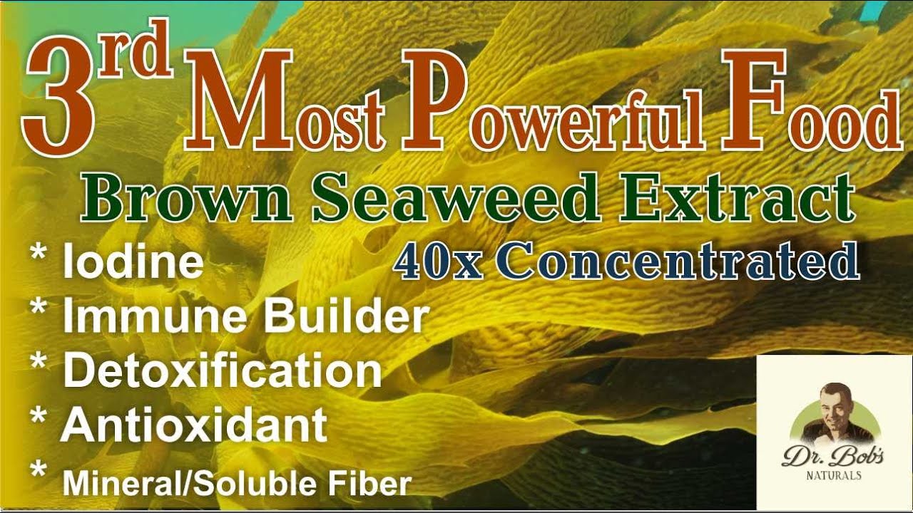 Third Most Powerful Food on Earth YouTube