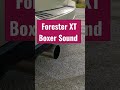 Forester XT Boxer Sound