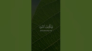 أمن يجيب المضطر إذا دعاه - #صلاح_باعثمان -  #سورة_النمل #حالة_واتس