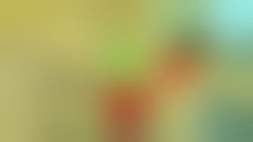 Jenny Has a SECRET Base... And What