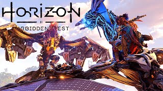 Stormbird Fight Without Touching The Ground | Horizon Forbidden West [Airborne Aloy]