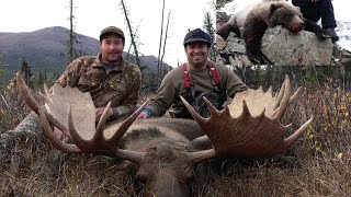 Monster Alaska bull moose taken at 30 yards then a grizzly