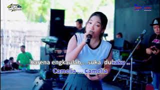 🎼 CAMELIA  [KARAOKE CEWEK]