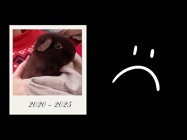 [Members-only] ASMR | Not doing well...