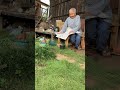 ちぃが来た日 #おばあちゃんと猫 #田舎暮らしの猫 #shorts #おばちゃん