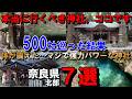 マジで凄すぎた…500社参拝して分かった最強の神社7選【奈良県編】