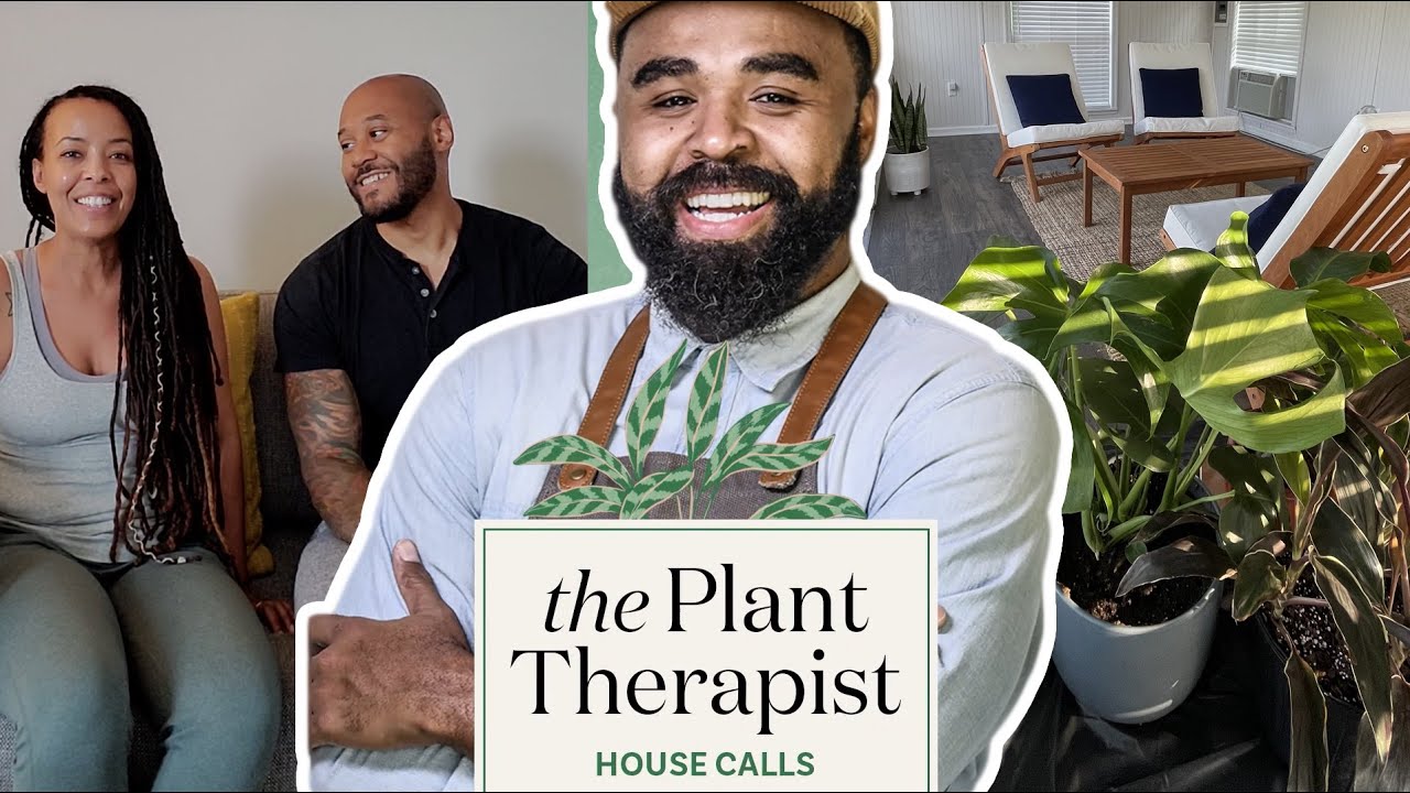 House Calls With The Plant Therapist: Letta's Plant Sanctuary