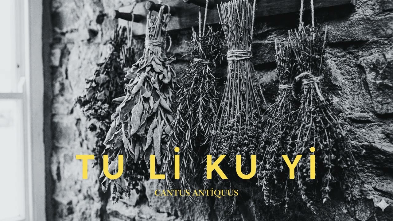 Tu Li Ku Yi (Anadolu Rock Cover) - Cantus Antiquus