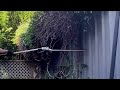 Hello 🤗 | Satisfying Grass Cutting & Lawn Mowing | Clean Yard Makeover