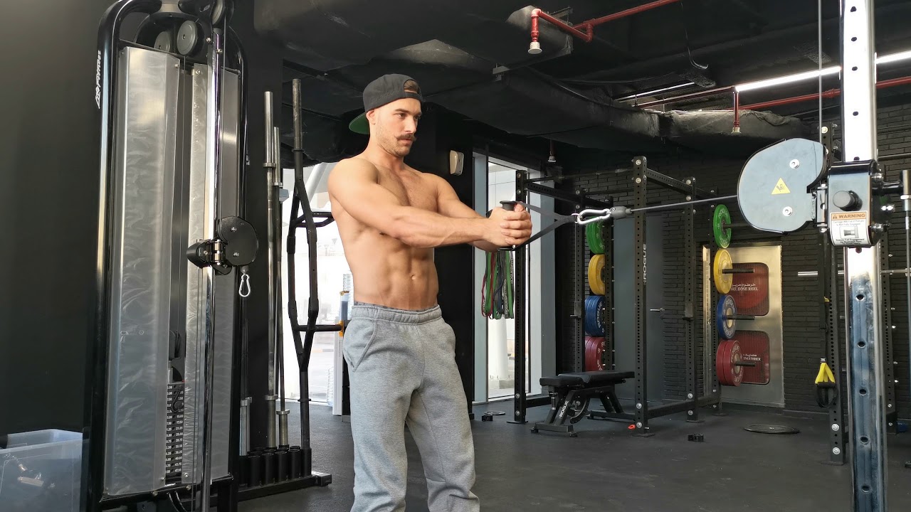 Standing cable oblique twist YouTube