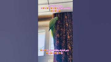 تلاوه خاشعه من الذكر الحكيم #القرآن_الكريم #اكسبلور #parrotparrot #foryou #parrot #parrotparrot