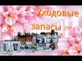 Обзор: Мои запасы 2017