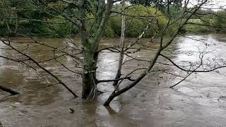 High Waters in the River Wear in Durham