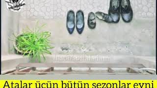 Ata haqqında menalı video