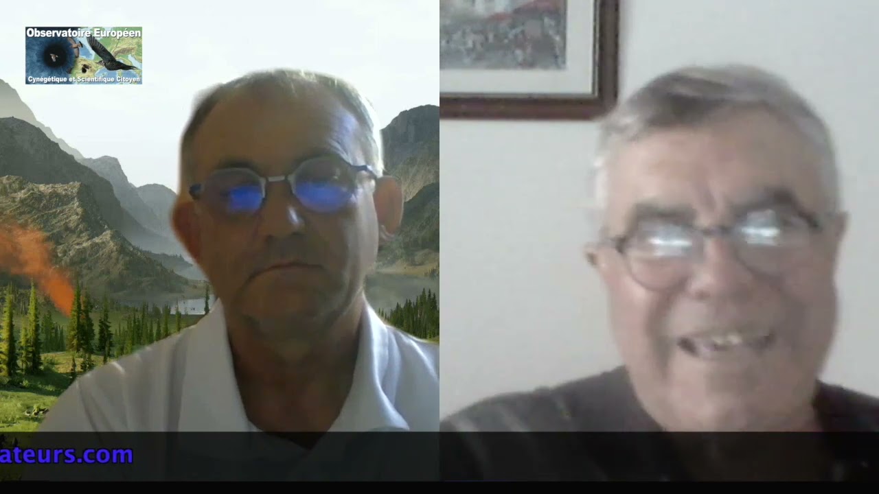 la migration des grives