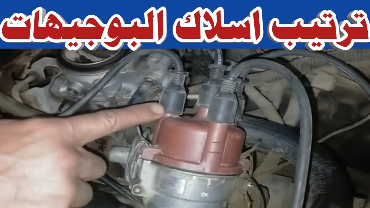 ترتيب اسلاك البوجيهات /ترتيب اسلاك البواجي..Suzuki Maruti 800