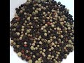 Peppercorns 101  about red peppercorns