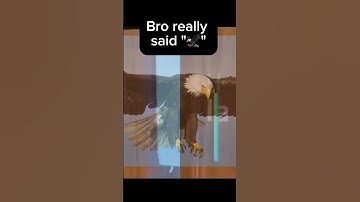 Bro really said "🦅" | VOLUME WARNING ⚠ | #memes #shorts