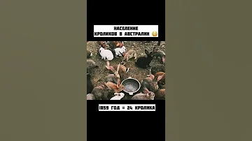 Распространение кроликов в Австралии