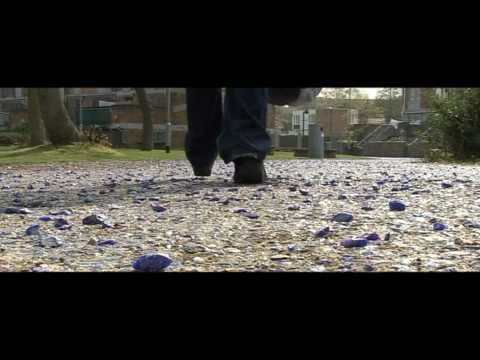 Flow and Affect - trailer 1- A BraverDarker Produc...