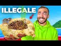 Mangio il FORMAGGIO ILLEGALE con i VERMI -  Tre uomini e un Camper 2 (ep.12)