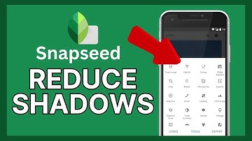 How to Get Rid of Shadow in Snapseed 2024?