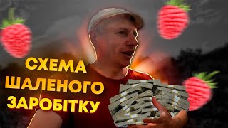 ДЕСЯТЬ ТИСЯЧ В ДЕНЬ НА МАЛИНІ У 2023 РОЦІ‼️Схема заробітку великих грошей на малині. Бізнес в селі.