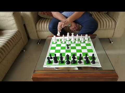 Mayur Raval Chess Basic chess rules by Mayur Patel - YouTube