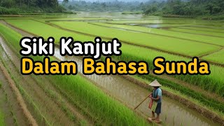 Download Lagu Siki Kanjut dalam Bahasa  Sunda Artinya ll Belajar Bahasa Sunda ll Percakapan II Kanjut Badag MP3