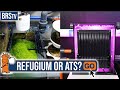 Natural Reef Tank Filtration The Difference Between Algae Turf Scrubbers Refugiums Natural Reef Tank Filtration The Difference Between Algae Turf Scrubbers Refugiums
