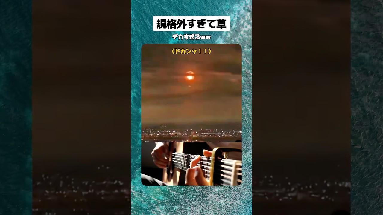 規格外すぎて草 #shorts #おもしろ #おすすめ #すごい #海外 #花火 #長岡 #バズれ