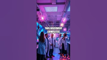 The Enigma of the Large Hadron Collider: Unlocking Particle Mysteries