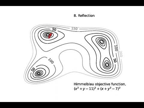 Nelder-Mead optimization
