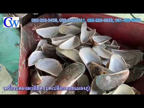 เครื่องบดผงละเอียด (บดเปลือกหอยแมลงภู่)