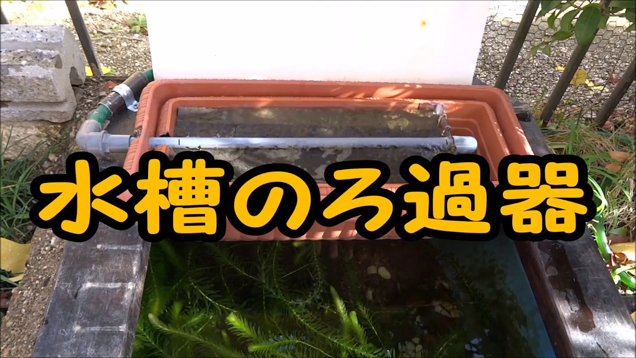 水槽の濾過器 ３種類の濾過器の中の構造 Youtube