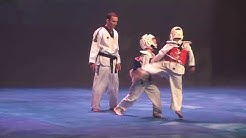 2019 02 17 Taekwondo club Vélizy du 13ème Festival des Arts Martiaux