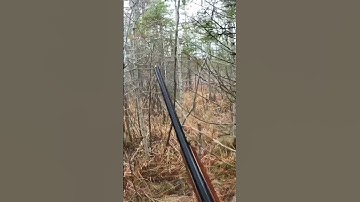 What a way to spend a Saturday 👍🏻