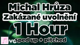 Michal Hrůza - Zakázané uvolnění (sped up + pitch) 1 Hour